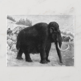 Wooly Mammoth-Modet Destiny Vykort
