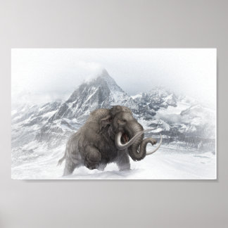 Wooly Mammoth Prehistorisk djurisålder Poster