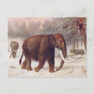 Wooly Mammoth Prehistorth Animal Antique Skriv ut Vykort