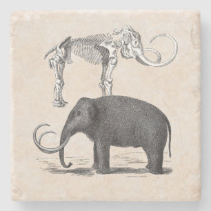 Wooly Mammoth PreHistory Elephant and Skeleton Stenunderlägg