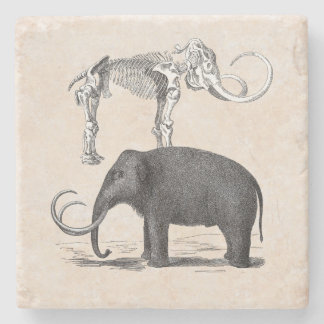 Wooly Mammoth PreHistory Elephant and Skeleton Stenunderlägg