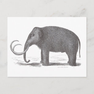 Wooly Mammoth Utdödar Mastodon Antique Print Vykort