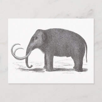 Wooly Mammoth Utdödar Mastodon Antique Print Vykort