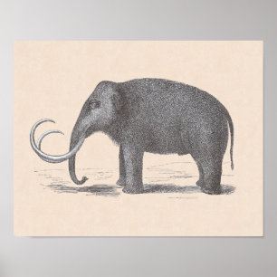 Wooly Mammoth Utdödar Mastodon Funny Vintage Poster
