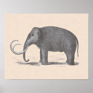 Wooly Mammoth Utdödar Mastodon Funny Vintage Poster