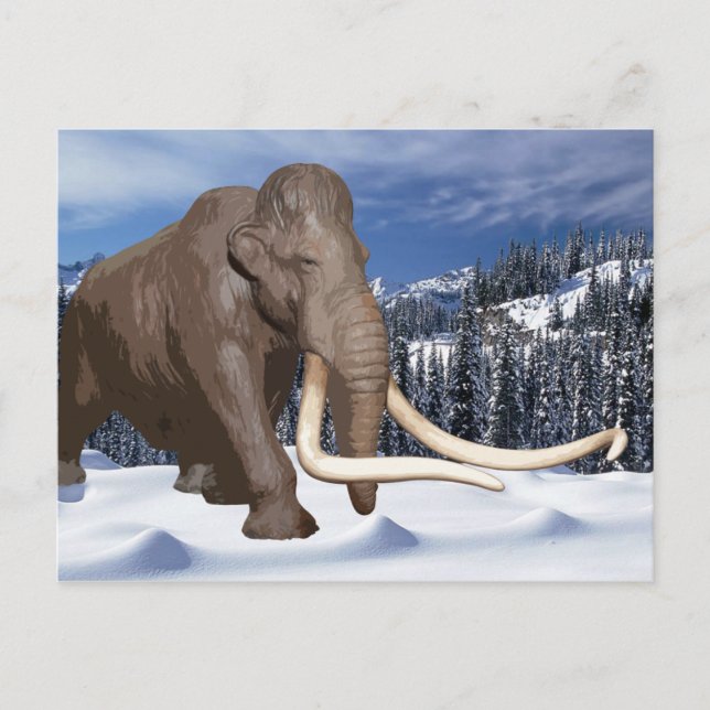 Wooly Mammoth vycard Vykort (Framsida)