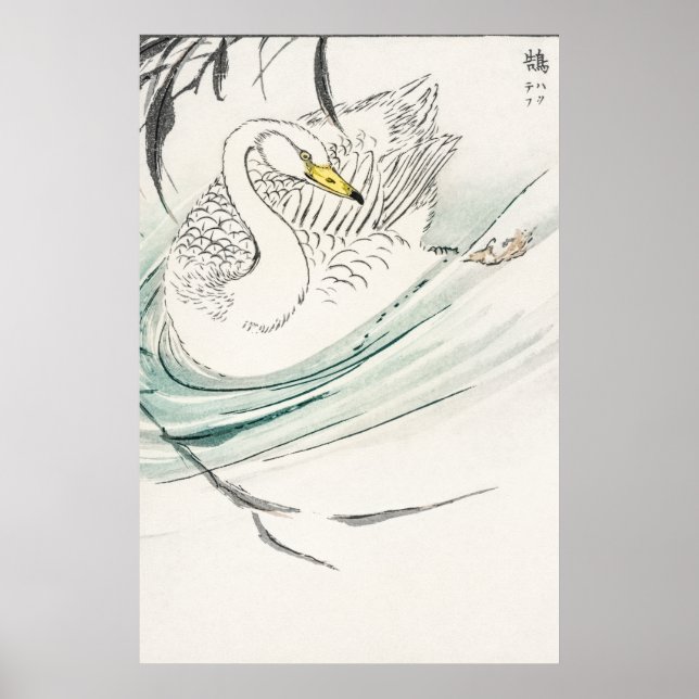 Wooper Svan illustration. Poster (Framsidan)