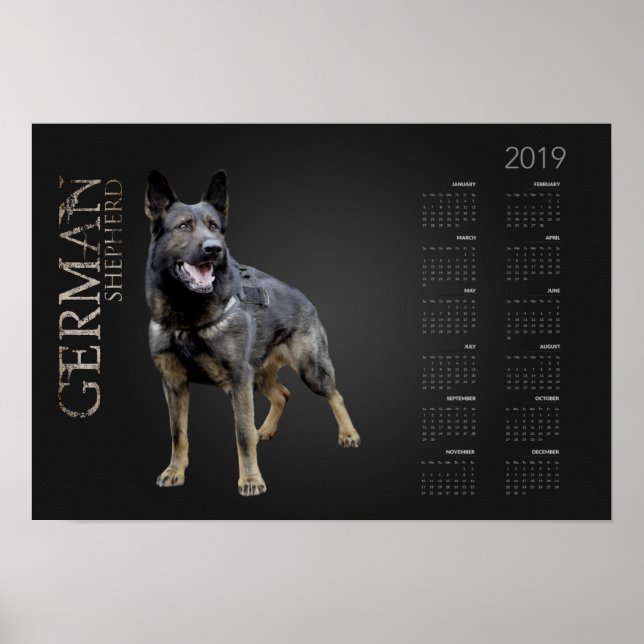 Working German Shepherd Hund - GSD Calendar 2019 Poster (Framsidan)