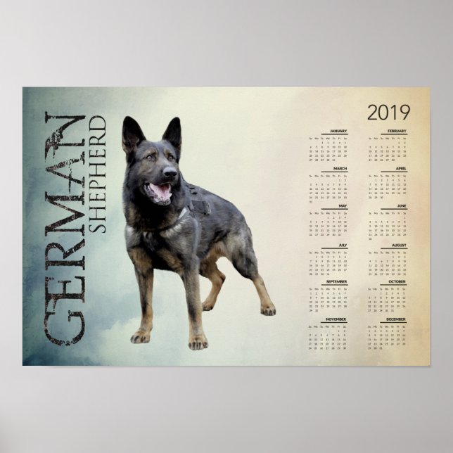 Working German Shepherd Hund - GSD Calendar 2019 Poster (Framsidan)