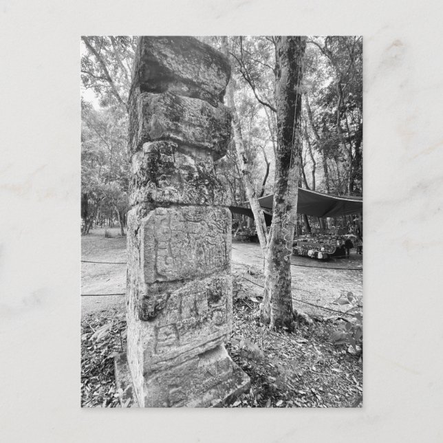 World2Celebrate: Hälsning från Chichén Itzá! Vykort (Framsida)