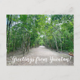 World2Celebrate: Hälsning från Yucatán! Vykort
