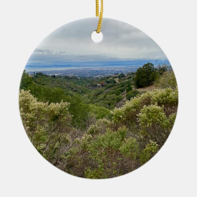 World2Celebrate: Hayward, CA Julgransprydnad Keramik (Framsidan)