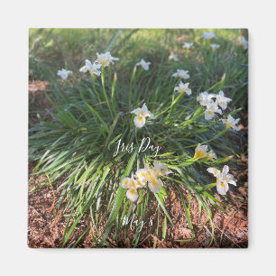 World2Celebrate: Iris Day Magnet