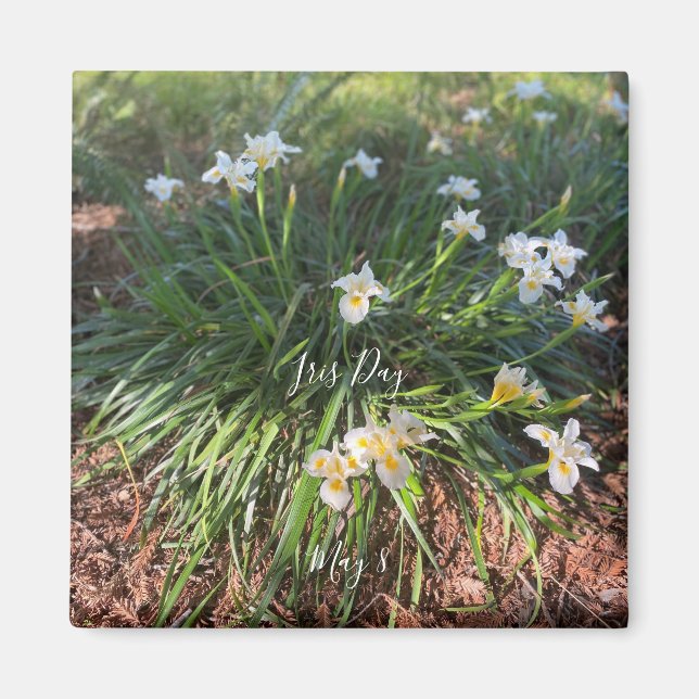 World2Celebrate: Iris Day Magnet (Framsidan)