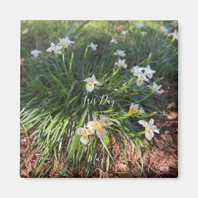 World2Celebrate: Iris Day Magnet (Framsidan)