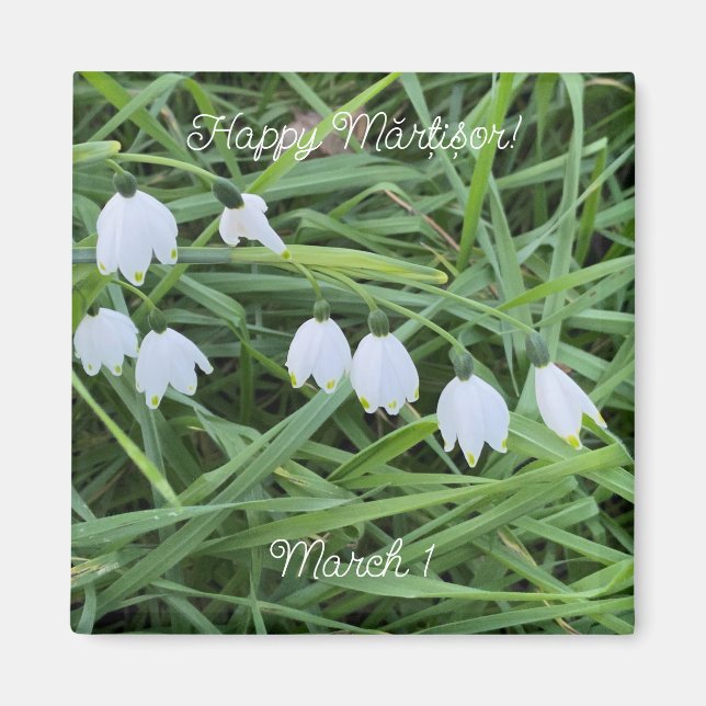 World2Celebrate: Lycklig Mărțișor! Magnet (Framsidan)