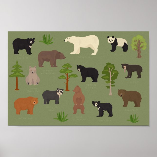 World Bears Poster (Framsidan)