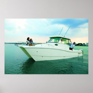 World Cat 270EC Poster