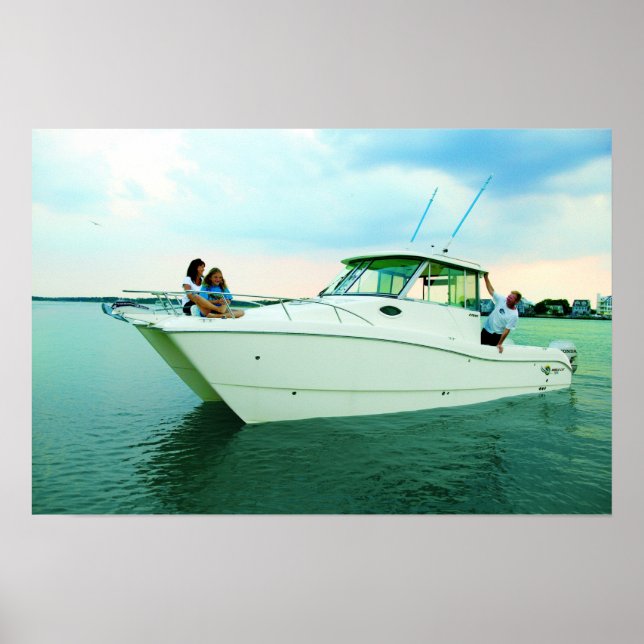 World Cat 270HT Poster (Framsidan)