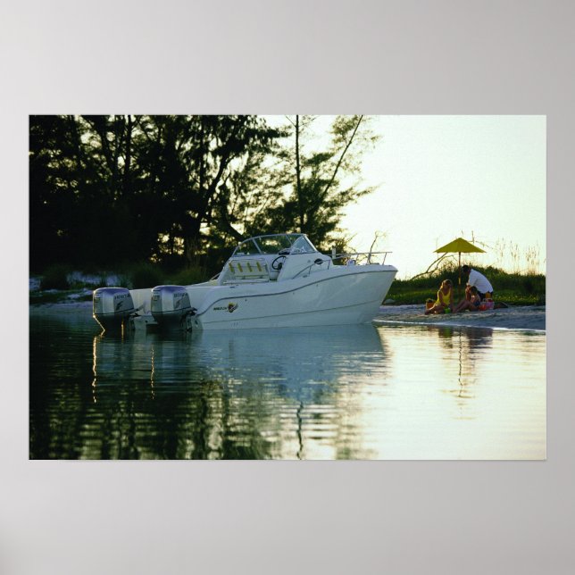 World Cat 270SC Poster (Framsidan)