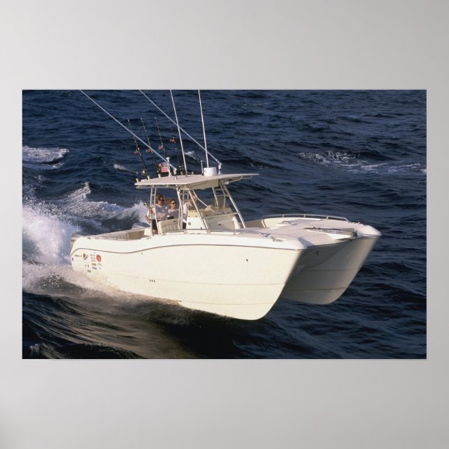 World Cat 330TE Poster (Framsidan)