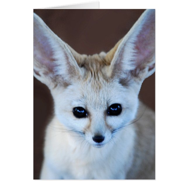 World Cutest Fennec Fox Hälsningskort (Framsidan)