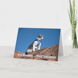 World Domination cat notecard Meddelande