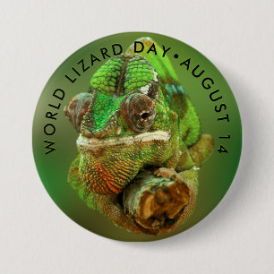 World Lizard Day, chameleon Knapp