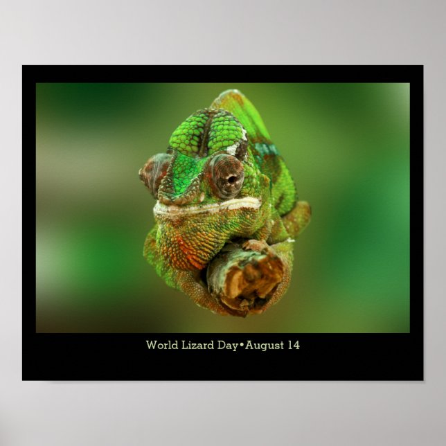 World Lizard Day, chameleon Poster (Framsidan)