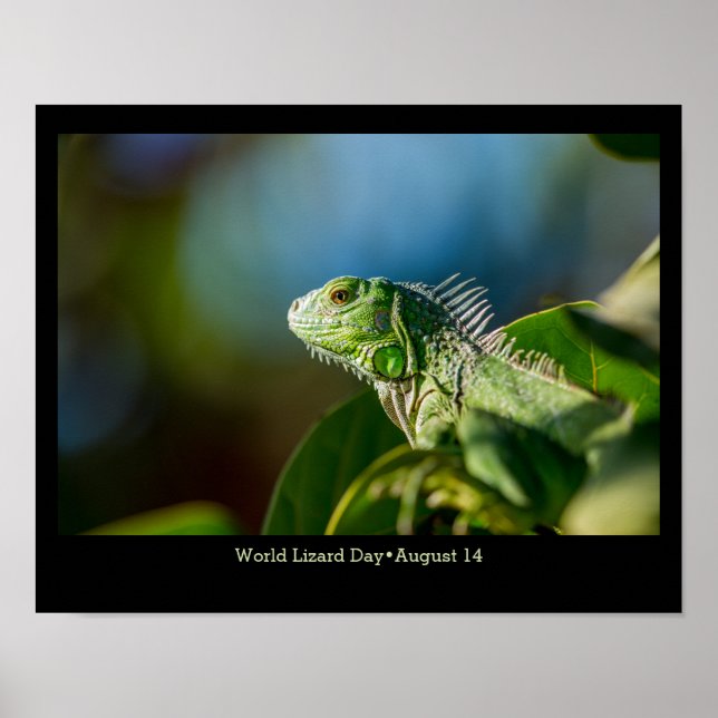 World Lizard Day, Iguana Poster (Framsidan)