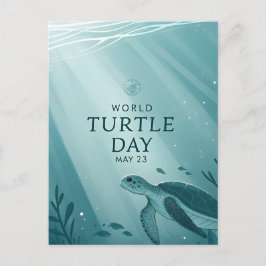 World Turtle Day Underwater Sea Turtle Art Helg Vykort