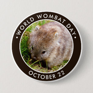 World Wombat Day, söt baby-livbat Knapp