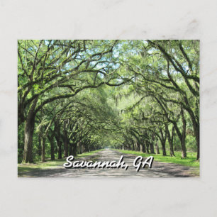 Wormsloe Plantation Savannah-vykort Vykort