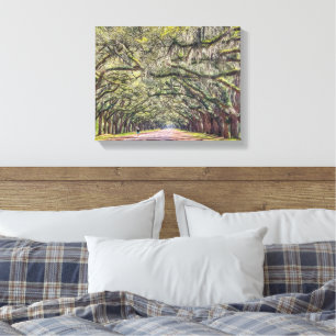 Wormsloe Savannah Canvas Wall Art 11x14