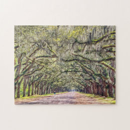 Wormsloe Savannah Oaks Challenging Souvenir Puzzle Pussel