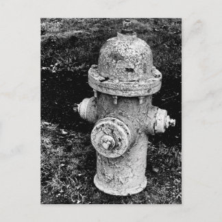 Worn Chipped Rusty Old Fire Hydrant Photo Vykort