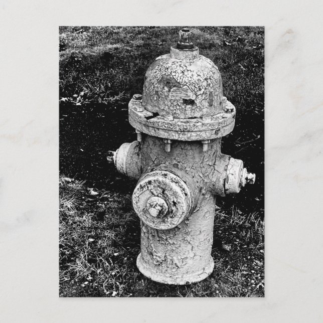 Worn Chipped Rusty Old Fire Hydrant Photo Vykort (Framsida)