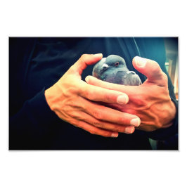 Wound Bird Fototryck