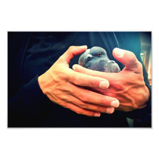 Wound Bird Fototryck