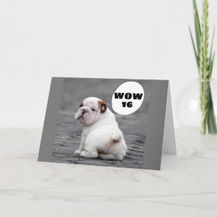 WOW—***16*** SÄTT ATT GÅ! KORT