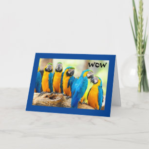 WOW 21-HUR COOLA ÄR DET! KORT