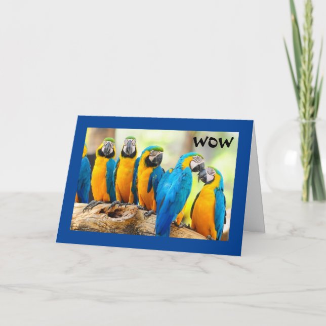 WOW 21-HUR COOLA ÄR DET! KORT (Framsida)