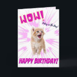 Wow Cute Funny Orange Kitten Birthday Card Kort<br><div class="desc">Grattis på födelsedagen från katten, roligt födelsedagskort för katt! Ljug på dina kära ansikte med superskojets anpassade födelsedagskort! Färgen har djärv, enkel och skarp, levande rosa med en kattunge i anpassadet och ersätter den helt enkelt med din egen söta, fega katt för att anpassa sig efter dina önskemål! Passar för...</div>