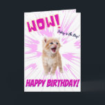 Wow Cute Funny Orange Kitten Birthday Card Kort<br><div class="desc">Grattis på födelsedagen från katten, roligt födelsedagskort för katt! Ljug på dina kära ansikte med superskojets anpassade födelsedagskort! Färgen har djärv, enkel och skarp, levande rosa med en kattunge i anpassadet och ersätter den helt enkelt med din egen söta, fega katt för att anpassa sig efter dina önskemål! Passar för...</div>