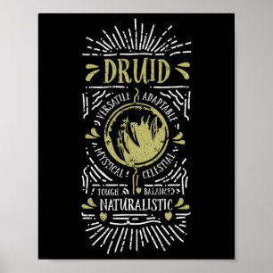 Wow Druid Rollspelande Spelare 1 Poster
