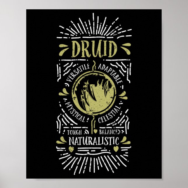 Wow Druid Rollspelande Spelare 1  Poster (Framsidan)