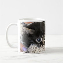 Wow, jag beundrar dig! Kattkaffekopp