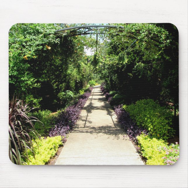 WOW MUSMATTA (Framsidan)