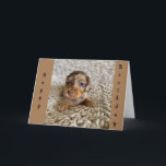 WOW SOM DU ÄR **13*** OCH EN *TEENAGER* KORT<br><div class="desc">TACK FÖR ATT JAG STOPPADE ETT AV MINA ÅTTA LAGER. KOMMA IHÅG ATT DU KAN FÖRÄNDRA VÄRLDEN OCH ÅLDERN PÅ ALLA MIN KORT OCH HA EN UNDERBAR DAG!!!!!!</div>