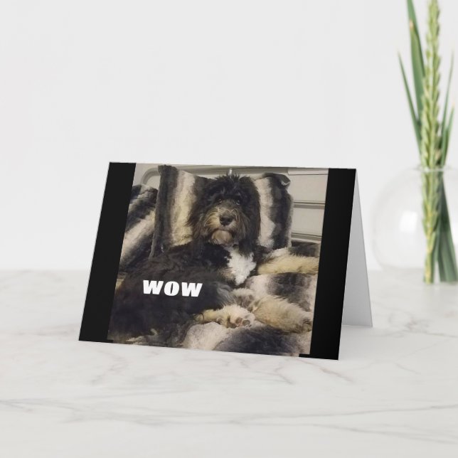 WOWEN KAN BARA INTE TRO ATT DU ÄR 30-KORT KORT (Framsida)